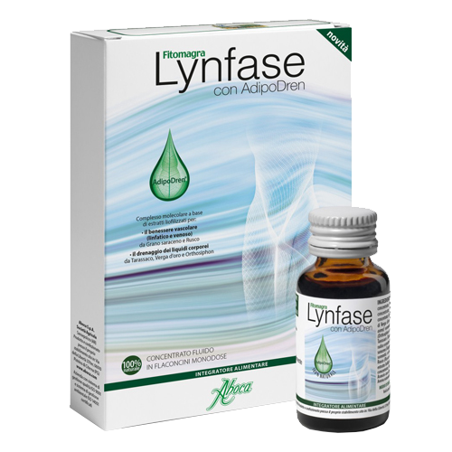 lynfase